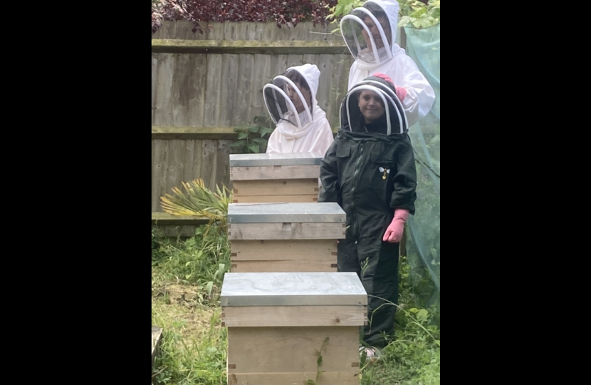 bee experience